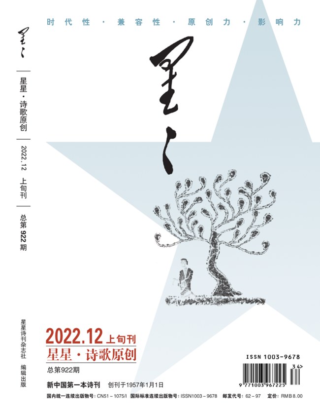 2022·短诗大展特别专号