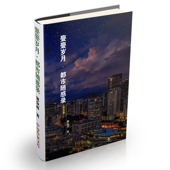冀金雨散文集：《亹亹岁月·都市随感录》